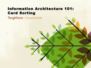 Information Architecture 101:
Card Sorting
 