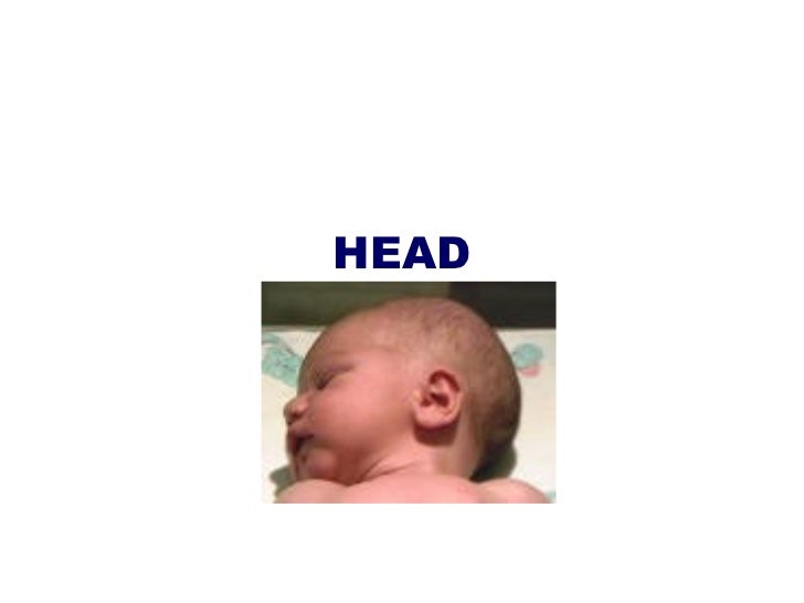 Why Is A Neonate’s Head More “moldable”? Care Of The Newborn