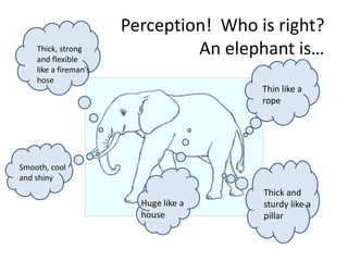 Perception! Who is right?
An elephant is…
Thin like a
rope
Thick and
sturdy like a
pillar
Thick, strong
and flexible
like a fireman’s
hose
Smooth, cool
and shiny
Huge like a
house
 