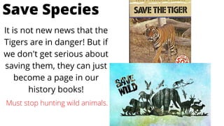 It is not new news that the
Tigers are in danger! But if
we don't get serious about
saving them, they can just
become a page in our
history books!
Save Species
Must stop hunting wild animals.
 