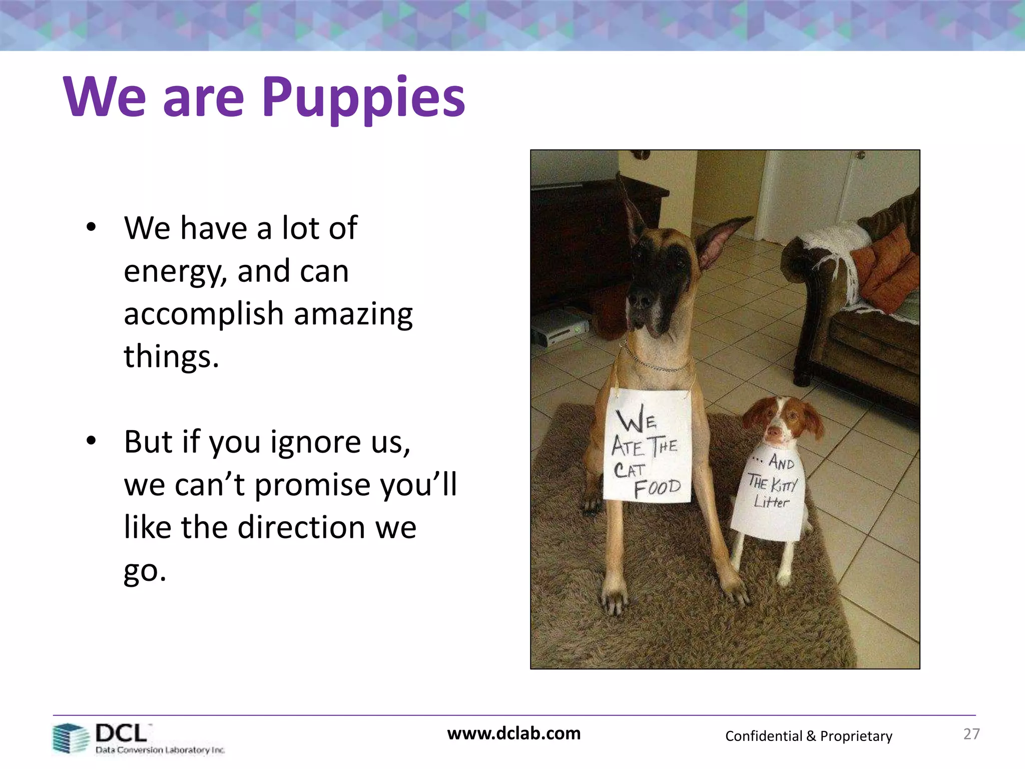 Confidential & Proprietarywww.dclab.com
We are Puppies
27
• We have a lot of
energy, and can
accomplish amazing
things.
• But if you ignore us,
we can’t promise you’ll
like the direction we
go.
 