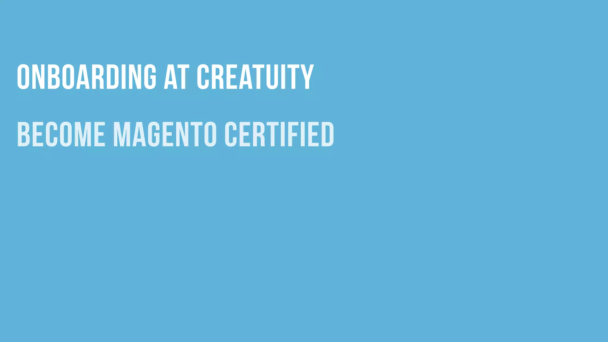 The Care and Feeding of Magento Developers