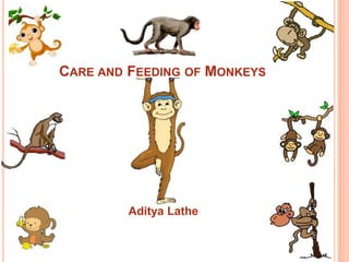 CARE AND FEEDING OF MONKEYS




         Aditya Lathe
 