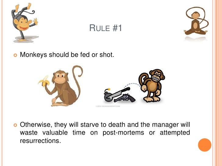 Care and feeding of monkeys