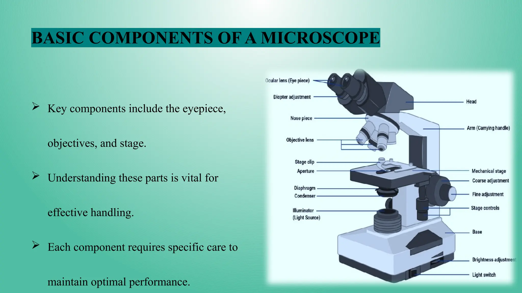Microscope Parts, Types Care And Handling | PPTX