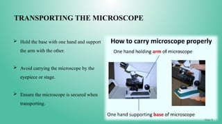 TRANSPORTING THE MICROSCOPE
 Hold the base with one hand and support
the arm with the other.
 Avoid carrying the microscope by the
eyepiece or stage.
 Ensure the microscope is secured when
transporting.
 