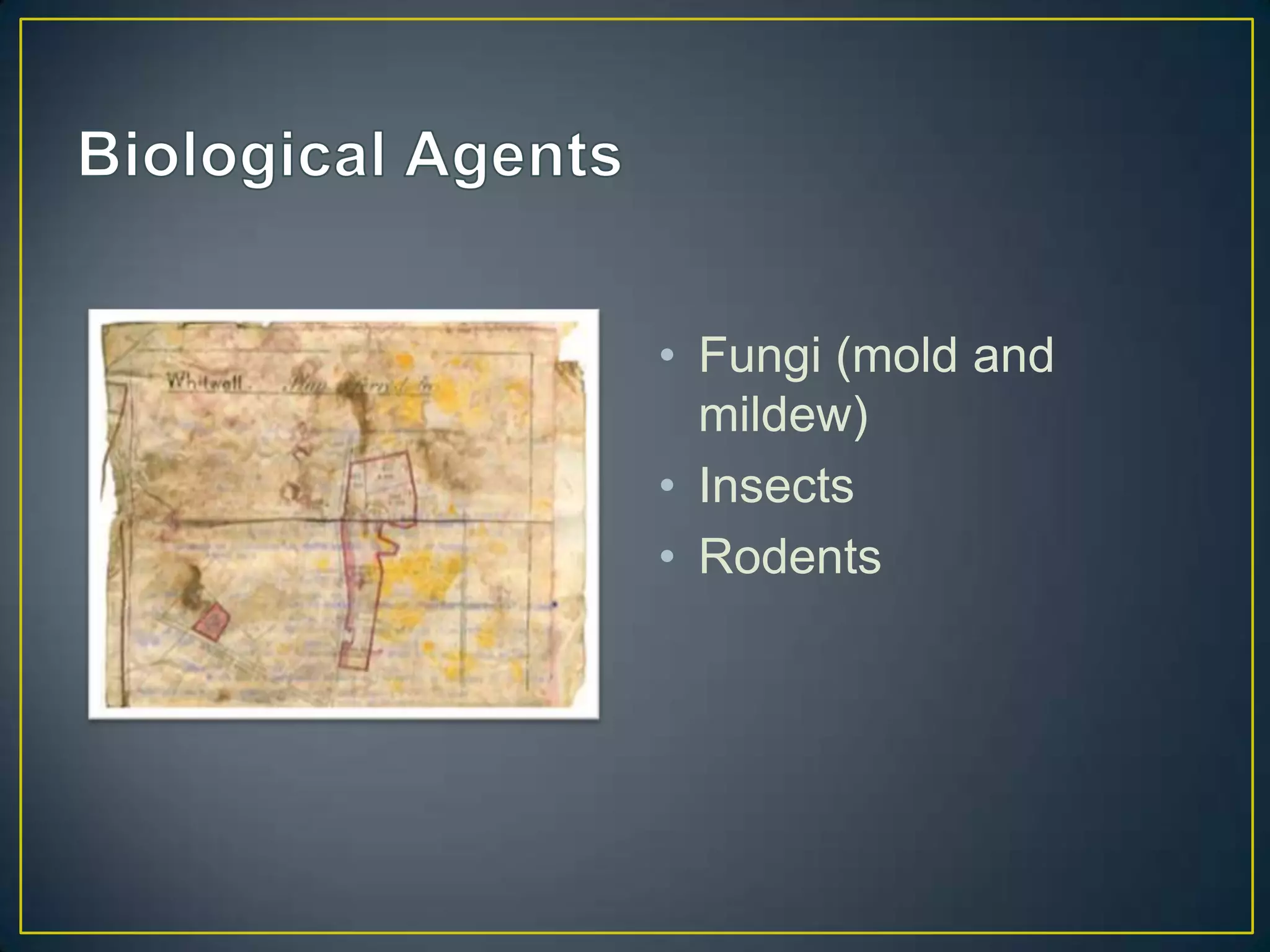 • Fungi (mold and
  mildew)
• Insects
• Rodents
 