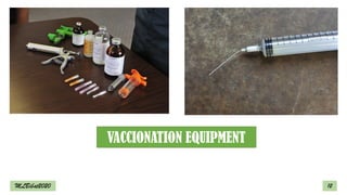 12
VACCIONATION EQUIPMENT
MLBibat2020
 