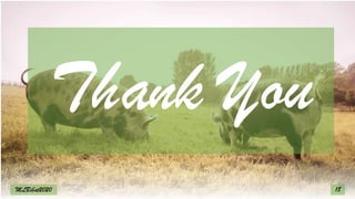 Thank You
18
MLBibat2020
 