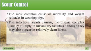 •The most common cause of mortality and weight
setbacks in weaning pigs.
•The infectious agents causing the disease complex
usually multiply in unsanitary facilities although they
may also appear in relatively clean farms.
3
MLBibat2020
 