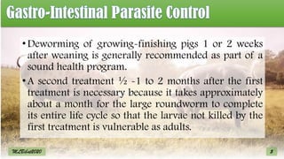 •Deworming of growing-finishing pigs 1 or 2 weeks
after weaning is generally recommended as part of a
sound health program.
•A second treatment ½ -1 to 2 months after the first
treatment is necessary because it takes approximately
about a month for the large roundworm to complete
its entire life cycle so that the larvae not killed by the
first treatment is vulnerable as adults.
5
MLBibat2020
 