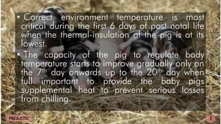 • Correct environment temperature is most
critical during the first 6 days of post natal life
when the thermal-insulation of the pig is at its
lowest.
• The capacity of the pig to regulate body
temperature starts to improve gradually only on
the 7th day onwards up to the 20th day when
full important to provide the baby pigs
supplemental heat to prevent serious losses
from chilling.
5
MLBibat2020
 