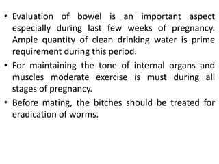 • Evaluation of bowel is an important aspect
especially during last few weeks of pregnancy.
Ample quantity of clean drinking water is prime
requirement during this period.
• For maintaining the tone of internal organs and
muscles moderate exercise is must during all
stages of pregnancy.
• Before mating, the bitches should be treated for
eradication of worms.
 