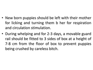• New born puppies should be left with their mother
for licking and turning them b her for respiration
and circulation stimulation.
• During whelping and for 2-3 days, a movable guard
rail should be fitted to 3 sides of box at a height of
7-8 cm from the floor of box to prevent puppies
being crushed by careless bitch.
 
