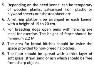 5. Depending on the need kennel can be temporary
of wooden planks, galvanised iron, plastic or
plywood sheets or asbestos sheet etc.
6. A retiring platform be arranged in each kennel
with a height of 15 to 20 cm.
7. For breeding dogs open pens with fencing are
ideal for exercise. The height of fence should be
minimum 2.2 M.
8. The area for brood bitches should be twice the
space provided to non-breeding bitches.
9. The floor should be spread with a thick layer of
soft grass, straw, sand or ash which should be free
from sharp objects.
 
