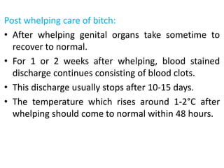 Post whelping care of bitch:
• After whelping genital organs take sometime to
recover to normal.
• For 1 or 2 weeks after whelping, blood stained
discharge continues consisting of blood clots.
• This discharge usually stops after 10-15 days.
• The temperature which rises around 1-2°C after
whelping should come to normal within 48 hours.
 