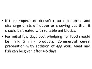 • If the temperature doesn’t return to normal and
discharge emits off odour or showing pus then it
should be treated with suitable antibiotics.
• For initial few days post whelping her food should
be milk & milk products, Commercial cereal
preparation with addition of egg yolk. Meat and
fish can be given after 4-5 days.
 