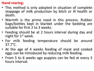 Hand rearing:
• This method is only adopted in situation of complete
stoppage of milk production by bitch or ill health or
death.
• Warmth is the prime need in this process. Rubber
bags/bottles kept in blanket under the bedding are
suitable for first 2 to 3 weeks.
• Feeding should be at 2 hours interval during day and
night for 1st week.
• For milk feeding temperature should be around
37.7°C.
• At the age of 4 weeks feeding of meat and cooked
eggs can be introduced by reducing milk feeding.
• From 5 to 6 weeks age puppies can be fed at every 3
hours interval.
 