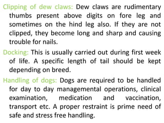 Clipping of dew claws: Dew claws are rudimentary
thumbs present above digits on fore leg and
sometimes on the hind leg also. If they are not
clipped, they become long and sharp and causing
trouble for nails.
Docking: This is usually carried out during first week
of life. A specific length of tail should be kept
depending on breed.
Handling of dogs: Dogs are required to be handled
for day to day managemental operations, clinical
examination, medication and vaccination,
transport etc. A proper restraint is prime need of
safe and stress free handling.
 