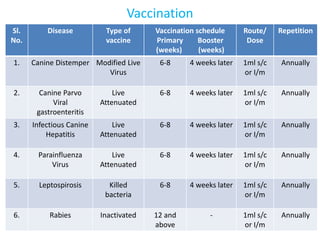 Vaccination
Sl.
No.
Disease Type of
vaccine
Vaccination schedule
Primary Booster
(weeks) (weeks)
Route/
Dose
Repetition
1. Canine Distemper Modified Live
Virus
6-8 4 weeks later 1ml s/c
or I/m
Annually
2. Canine Parvo
Viral
gastroenteritis
Live
Attenuated
6-8 4 weeks later 1ml s/c
or I/m
Annually
3. Infectious Canine
Hepatitis
Live
Attenuated
6-8 4 weeks later 1ml s/c
or I/m
Annually
4. Parainfluenza
Virus
Live
Attenuated
6-8 4 weeks later 1ml s/c
or I/m
Annually
5. Leptospirosis Killed
bacteria
6-8 4 weeks later 1ml s/c
or I/m
Annually
6. Rabies Inactivated 12 and
above
- 1ml s/c
or I/m
Annually
 