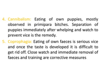 4. Cannibalism: Eating of own puppies, mostly
observed in primipara bitches. Separation of
puppies immediately after whelping and watch to
prevent vice is the remedy.
5. Coprophagia: Eating of own faeces is serious vice
and once the taste is developed it is difficult to
get rid off. Close watch and immediate removal of
faeces and training are corrective measures
 