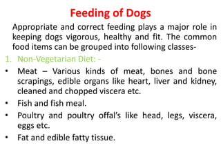 Feeding of Dogs
Appropriate and correct feeding plays a major role in
keeping dogs vigorous, healthy and fit. The common
food items can be grouped into following classes-
1. Non-Vegetarian Diet: -
• Meat – Various kinds of meat, bones and bone
scrapings, edible organs like heart, liver and kidney,
cleaned and chopped viscera etc.
• Fish and fish meal.
• Poultry and poultry offal’s like head, legs, viscera,
eggs etc.
• Fat and edible fatty tissue.
 