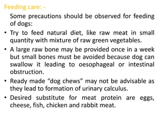Feeding care: -
Some precautions should be observed for feeding
of dogs:
• Try to feed natural diet, like raw meat in small
quantity with mixture of raw green vegetables.
• A large raw bone may be provided once in a week
but small bones must be avoided because dog can
swallow it leading to oesophageal or intestinal
obstruction.
• Ready made “dog chews” may not be advisable as
they lead to formation of urinary calculus.
• Desired substitute for meat protein are eggs,
cheese, fish, chicken and rabbit meat.
 