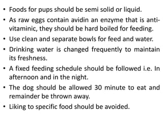 • Foods for pups should be semi solid or liquid.
• As raw eggs contain avidin an enzyme that is anti-
vitaminic, they should be hard boiled for feeding.
• Use clean and separate bowls for feed and water.
• Drinking water is changed frequently to maintain
its freshness.
• A fixed feeding schedule should be followed i.e. In
afternoon and in the night.
• The dog should be allowed 30 minute to eat and
remainder be thrown away.
• Liking to specific food should be avoided.
 