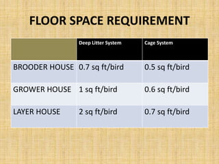 Care and management of layers and detail about production stage.pptx