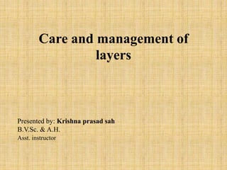 Care and management of
layers
Presented by: Krishna prasad sah
B.V.Sc. & A.H.
Asst. instructor
 