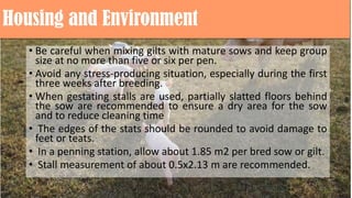 Housing and Environment
• Be careful when mixing gilts with mature sows and keep group
size at no more than five or six per pen.
• Avoid any stress-producing situation, especially during the first
three weeks after breeding.
• When gestating stalls are used, partially slatted floors behind
the sow are recommended to ensure a dry area for the sow
and to reduce cleaning time
• The edges of the stats should be rounded to avoid damage to
feet or teats.
• In a penning station, allow about 1.85 m2 per bred sow or gilt.
• Stall measurement of about 0.5x2.13 m are recommended.
 