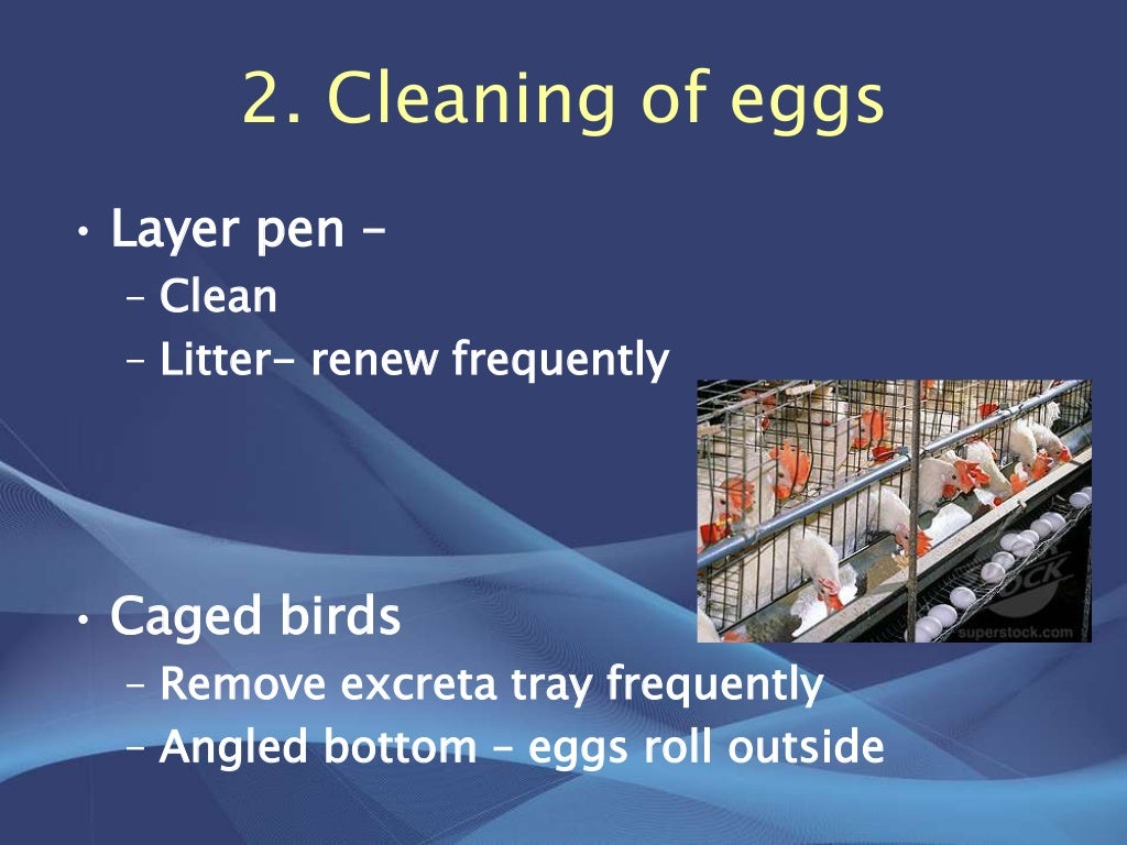 Care and storage of hatching eggs before