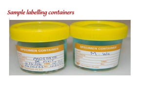 Specimen Container Operating Room Care and transportation of surgical specimen 1.pdf