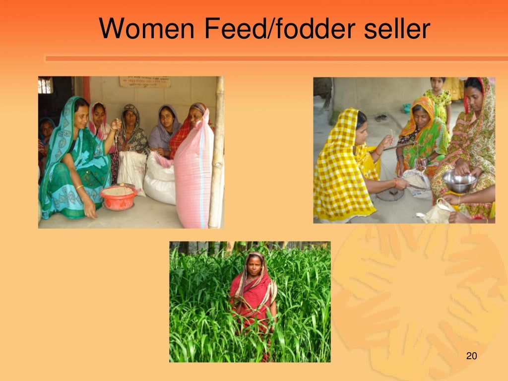 Care bangladesh 05.11.10