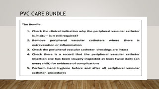 PVC CARE BUNDLE
 