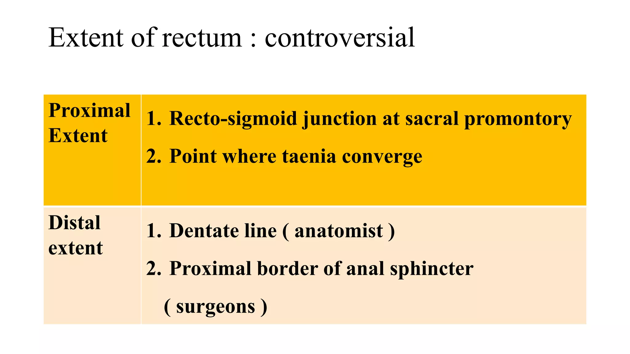 Extent of rectum : controversial
Proximal
Extent
1. Recto-sigmoid junction at sacral promontory
2. Point where taenia converge
Distal
extent
1. Dentate line ( anatomist )
2. Proximal border of anal sphincter
( surgeons )
 