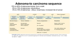 Adenoma-to carcinoma sequence
75% to 85% of adenomas-tubular, form a stalk
8% to 15% of adenomas -tubulovillous
5% to 10% of adenomas - villous. broad base, increased risk of cancer
 