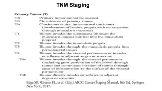 TNM Staging
 