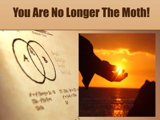 You Are No Longer The Moth!
 