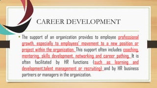 Career visual data 4