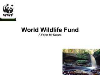 World Wildlife Fund A Force for Nature 