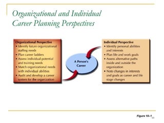 Organizational and Individual  Career Planning Perspectives Figure 10 –1 