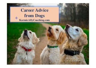Career Advice
from Dogs
KarmicAllyCoaching.com
 