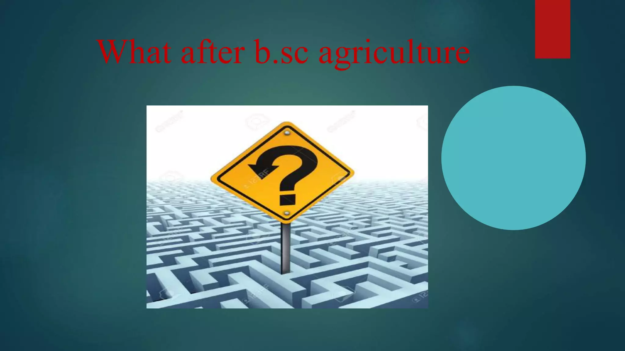 What after b.sc agriculture
 