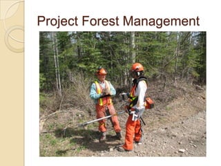 Project Forest Management