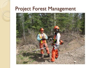 Project Forest Management
 