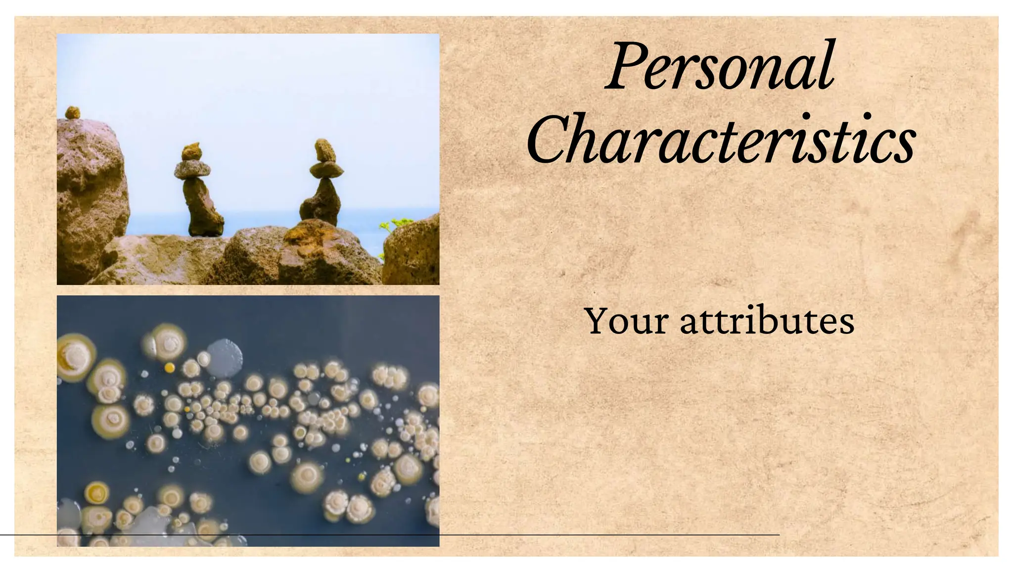 Personal
Characteristics
Your attributes
 