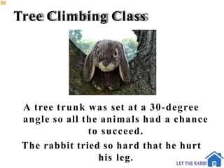 Tree Climbing Class
A tree trunk was set at a 30-degree
angle so all the animals had a chance
to succeed.
The rabbit tried so hard that he hurt
his leg.
 