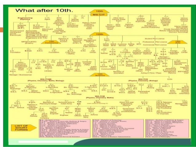 Education Chart After 10th