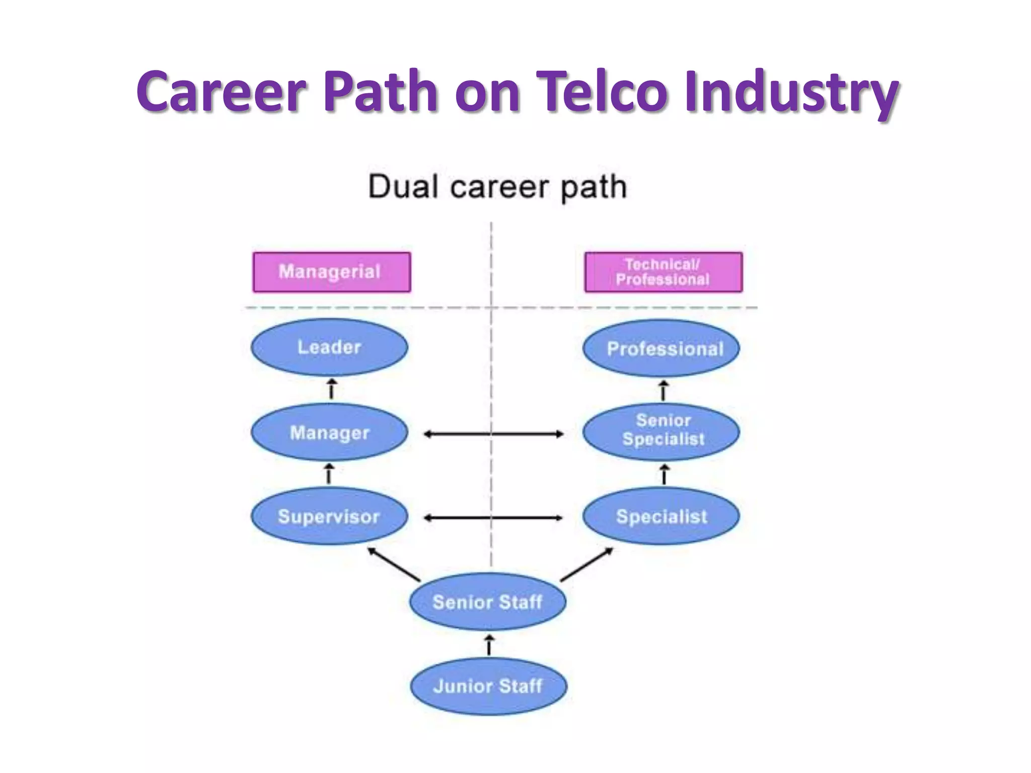 Career Path on Telco Industry
 